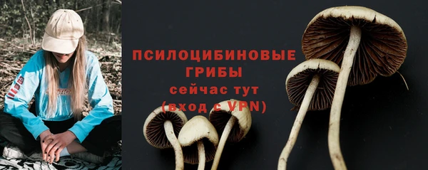 метамфетамин Каменногорск