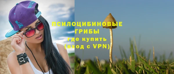 каннабис Каменка