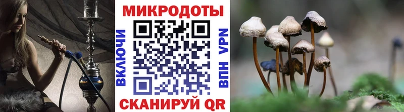 Купить закладки Мелеуз Галлюциногенные грибы Psilocybe